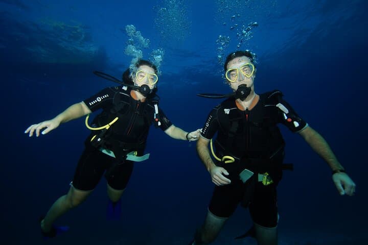 Two Reefs Certified Dives in Cancun: Punta Negra & Grampin Reefs photo 6