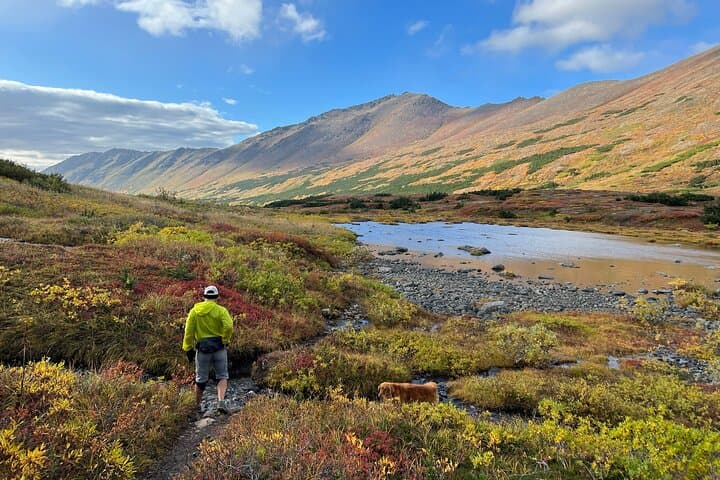 Full-Day Alaskan Hiking Adventure to Williwaw or Symphony Lakes