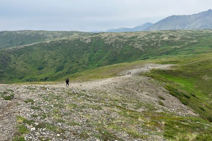 Alpine Classic Trek: Chugach Ridgeline Hike with Mile-High Views photo 4