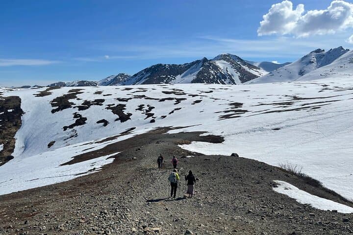 Alpine Classic Trek: Chugach Ridgeline Hike with Mile-High Views photo 3