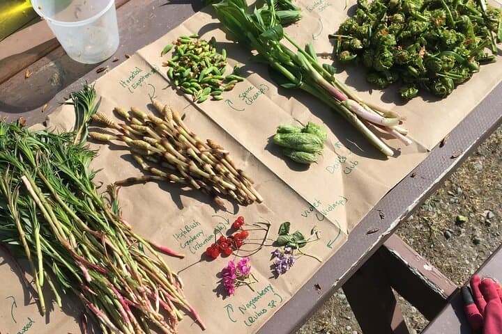 Forage, Hike, Cook: Anchorage Backcountry Eats Daytrip