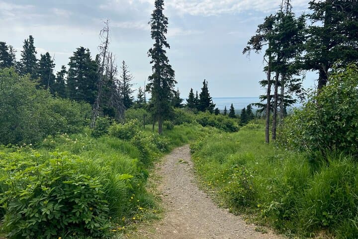 Glen Alps Nature Walk in Chugach State Park — Easy Flora & Wildlife Hike Near Anchorage