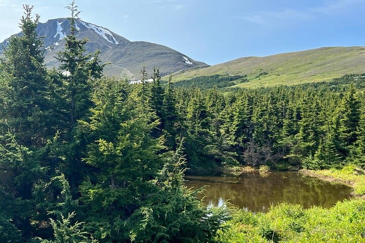 Glen Alps Nature Walk in Chugach State Park — Easy Flora & Wildlife Hike Near Anchorage photo 6