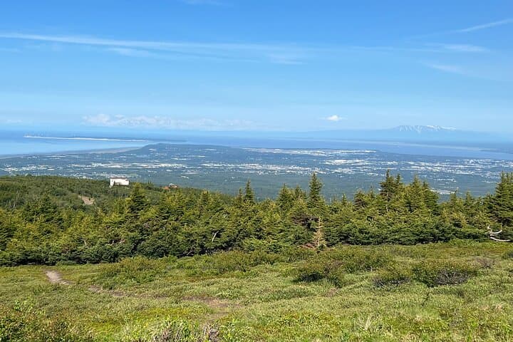 Glen Alps Nature Walk in Chugach State Park — Easy Flora & Wildlife Hike Near Anchorage photo 2