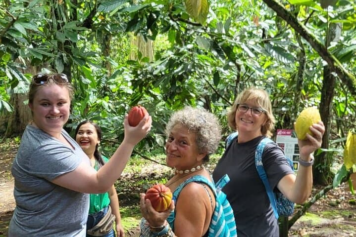 Eden Chocolate Experience La Fortuna: Organic Cocoa Tour with Lunch photo 4