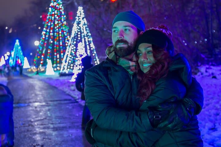 Niagara Falls Night Helicopter Tour — Winter Lights Flight photo 2