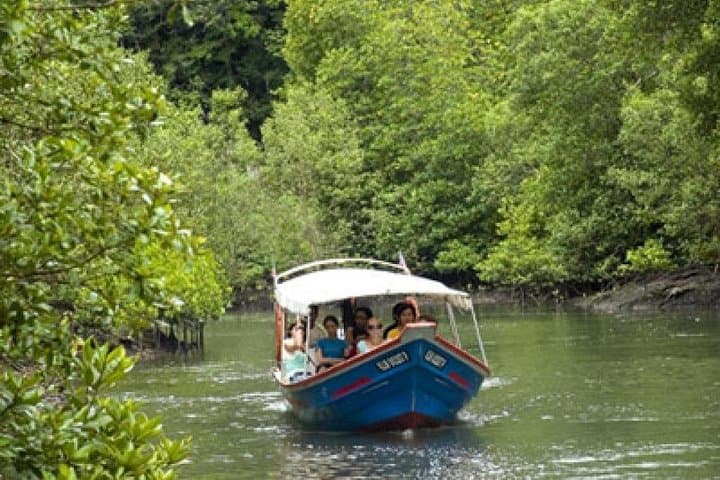 Langkawi SkyCab, Sky Bridge & Tanjung Rhu Mangrove Private Tour with Lunch photo 3