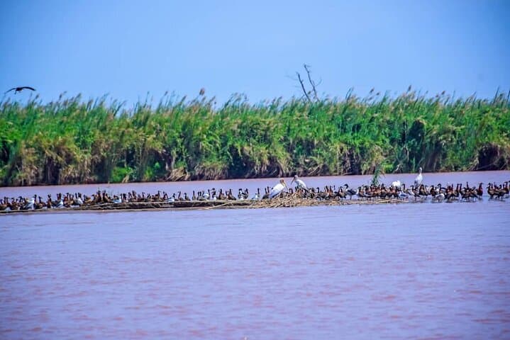 Bujumbura Private Historical Guided Tour: Rusizi Park, Lake Tanganyika & City Highlights photo 6