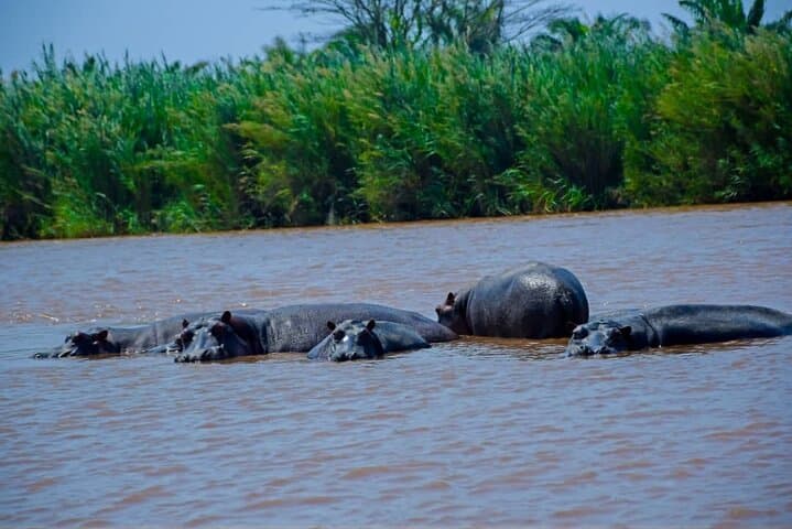 Bujumbura Private Historical Guided Tour: Rusizi Park, Lake Tanganyika & City Highlights