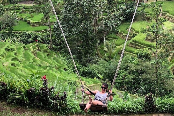 Ubud Cultural & Spring Temple Private Guided Tour — Tegalalang, Tirta Empul & Tegenungan photo 2