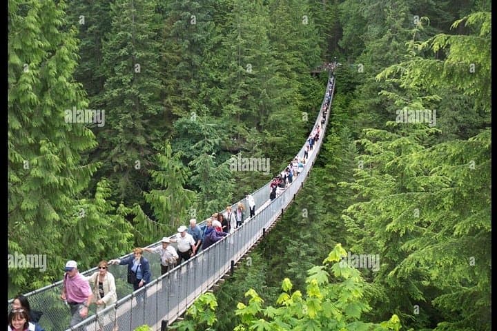 Full-Day Private Vancouver City Tour: Stanley Park, Capilano & Grouse Mountain photo 4
