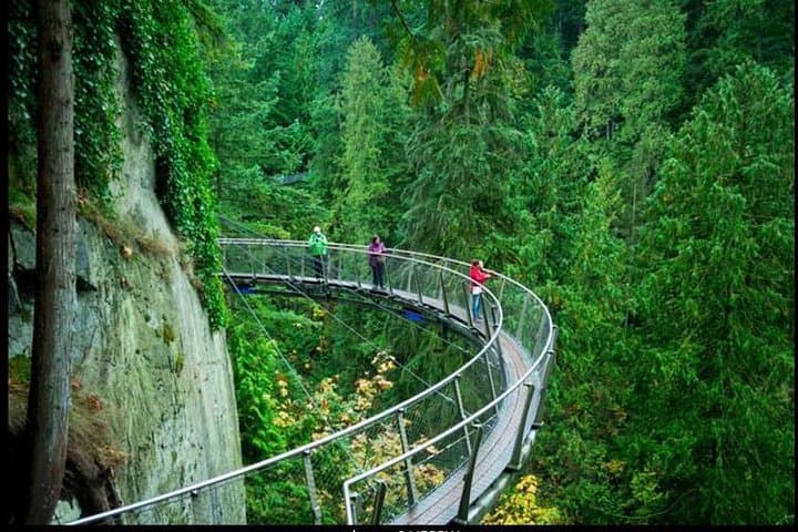 Full-Day Private Vancouver City Tour: Stanley Park, Capilano & Grouse Mountain photo 5