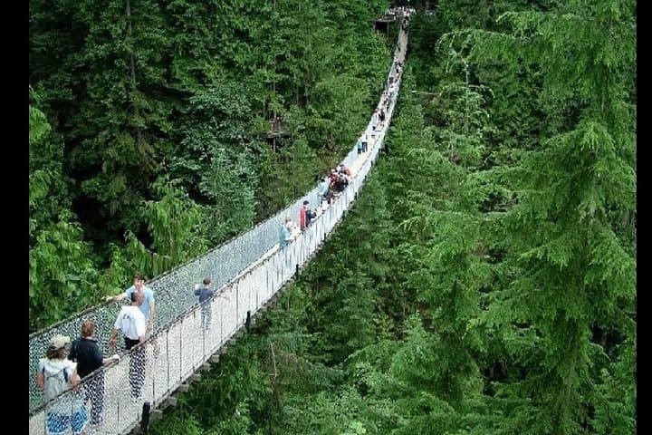Full-Day Private Vancouver City Tour: Stanley Park, Capilano & Grouse Mountain photo 6