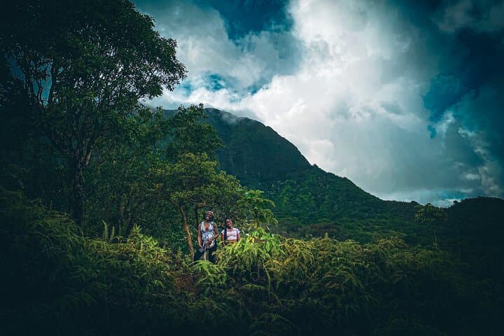 Honolulu Rainforest Waterfall Hike — Guided Trail Away from Waikiki photo 3