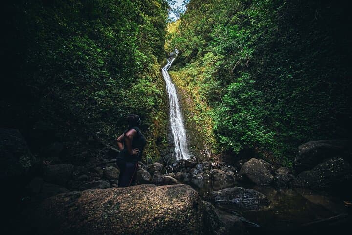 Honolulu Rainforest Waterfall Hike — Guided Trail Away from Waikiki photo 5