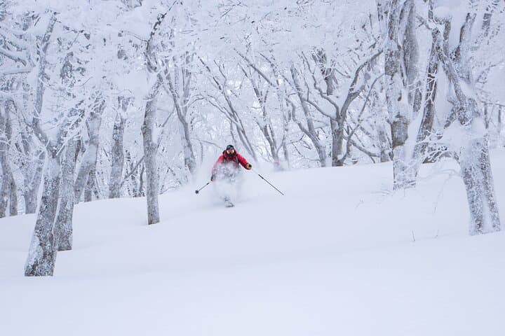 Shiga Kogen 4‑Hour Private Ski & Snowboard Lesson — Nagano Coaching photo 4