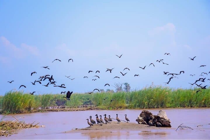 Rusizi Park & World Beach: Full-Day Small-Group Tour of Bujumbura