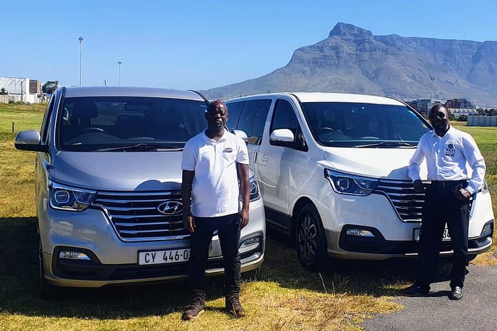 Full-Day Private Chauffeur Drive in Cape Town: Cape Point, Winelands & Boulders Beach photo 4