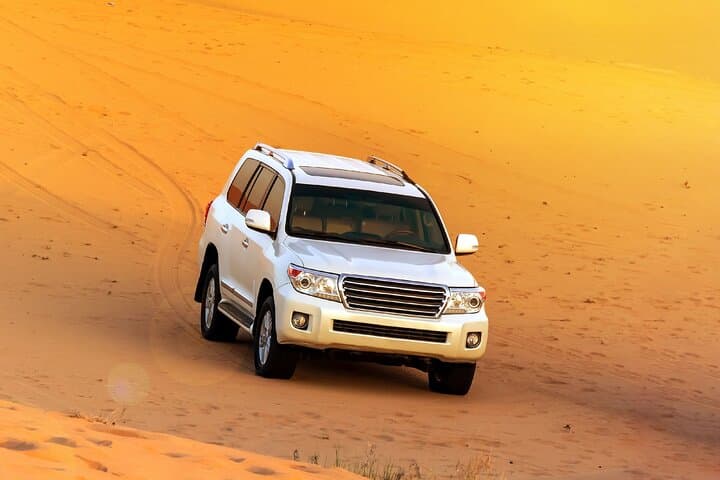 Dubai Morning Desert Adventure: Dune Buggy Ride, Dune Bashing & Camel Trek