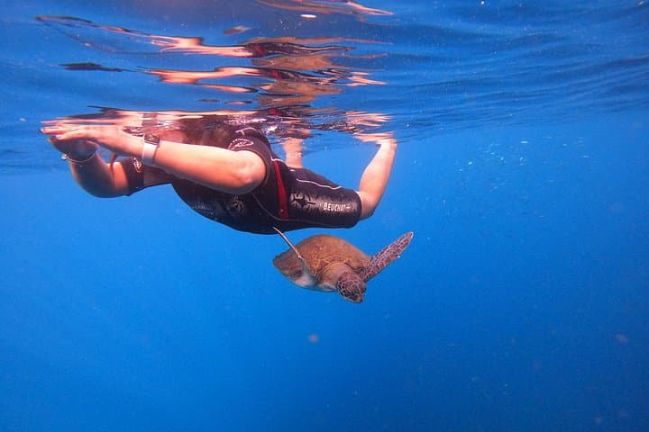 Snorkel with Sea Turtles on Tenerife’s South Coast — Guided Boat Tour photo 3
