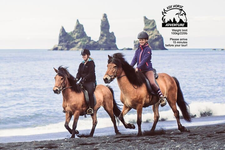 Black Sand Beach Horse Riding Tour from Vík — Icelandic Horses on Reynisfjara