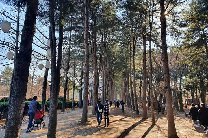Seoul Day Trip: Nami Island, Kim You-jeong Rail Bike & Garden of Morning Calm with Dakgalbi photo 3
