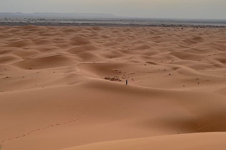 Erfoud to Merzouga: Private Day Trip Into Erg Chebbi with Berber Lunch photo 2