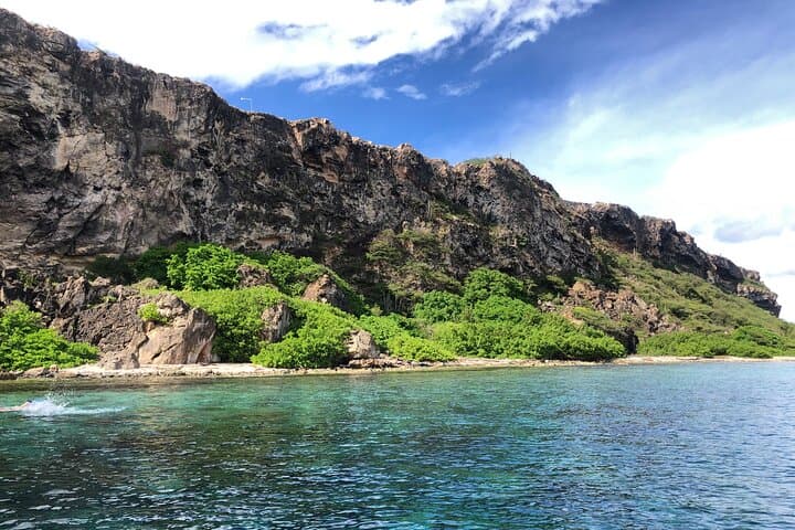 Private Boat Trip in Curaçao: 3- or 4-Hour Snorkel, Swim & Board in Spanish Waters photo 6