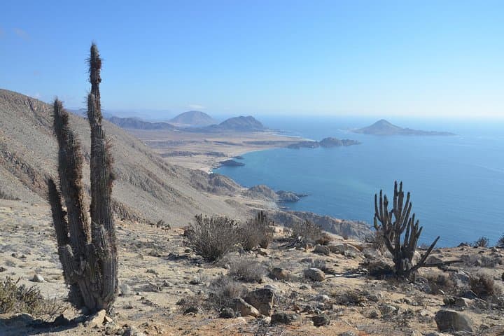 Atacama Coastal Roadtrip: La Serena to Pan de Azúcar & Llanos del Challe
