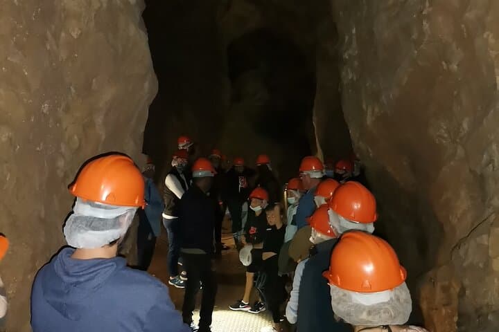Half-Day Cradle of Humankind Tour – Sterkfontein Caves & Maropeng Visitor Centre photo 2
