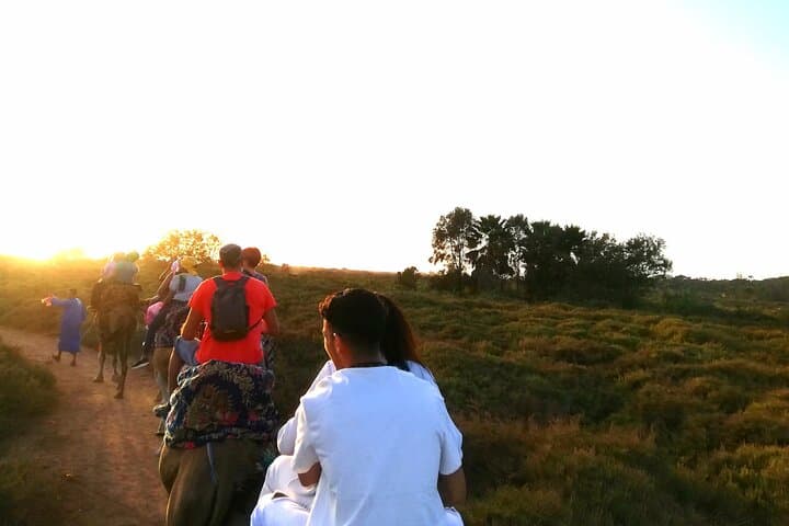 Agadir Sunset Camel Ride: Eucalyptus Forests & Souss River Estuary photo 2