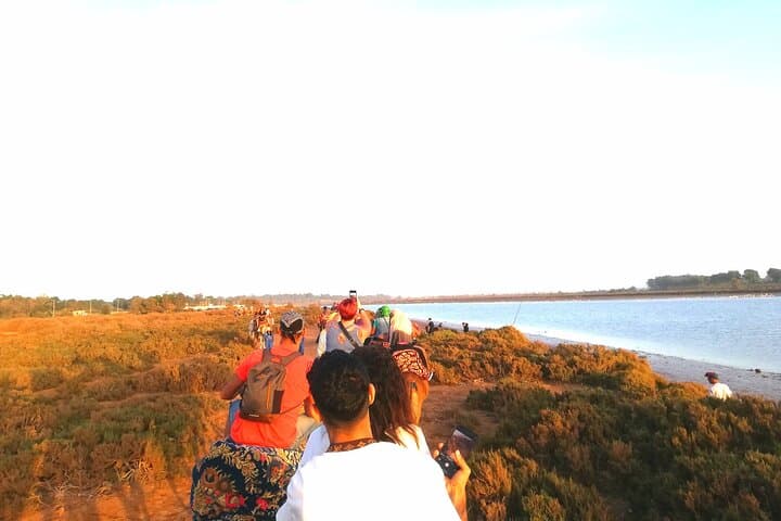 Agadir Sunset Camel Ride: Eucalyptus Forests & Souss River Estuary photo 3