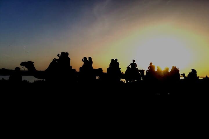 Agadir Sunset Camel Ride: Eucalyptus Forests & Souss River Estuary photo 4