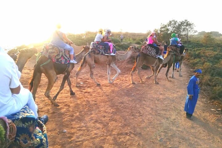 Agadir Sunset Camel Ride: Eucalyptus Forests & Souss River Estuary photo 6