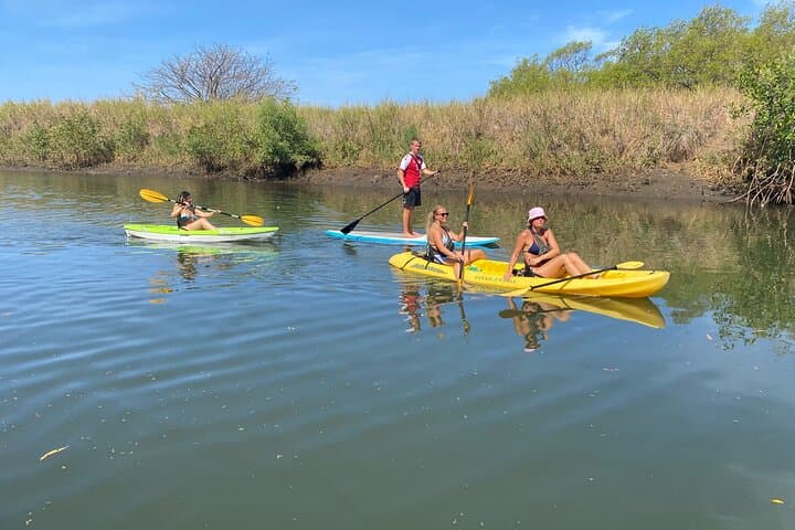 Mangrove Kayak & SUP Tour to Ostional Turtle Grounds — Costa Rica photo 3