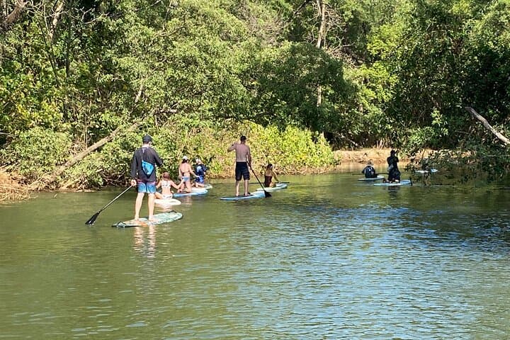 Mangrove Kayak & SUP Tour to Ostional Turtle Grounds — Costa Rica photo 5