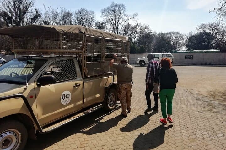 Half-Day Lion and Safari Park Tour from Johannesburg: Close-Range Big Cat Encounters photo 4