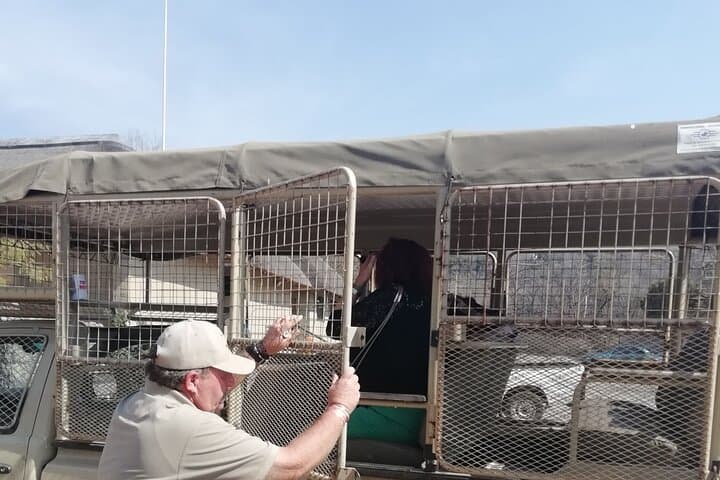 Half-Day Lion and Safari Park Tour from Johannesburg: Close-Range Big Cat Encounters photo 5