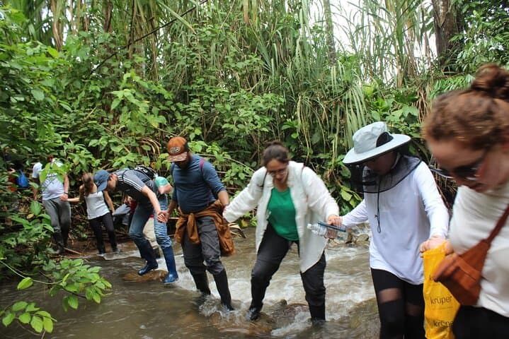 7-Day Manu National Park Wildlife Expedition from Cusco photo 3
