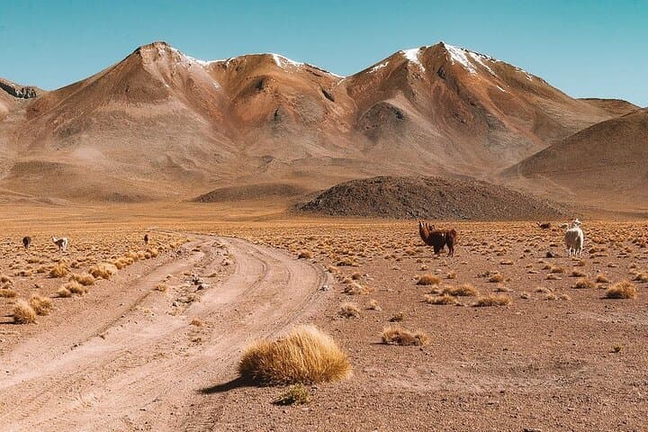 3-Day Private Flight Tour to Salar de Uyuni from La Paz photo 4