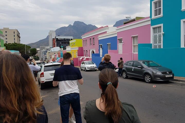 Full-Day Cape of Good Hope & Boulders Penguins Tour from Cape Town photo 3