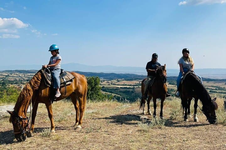 Half-Day Horseback Riding and Farm Experience Near Thessaloniki