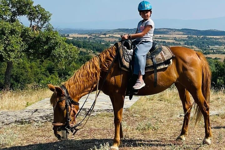 Half-Day Horseback Riding and Farm Experience Near Thessaloniki photo 2