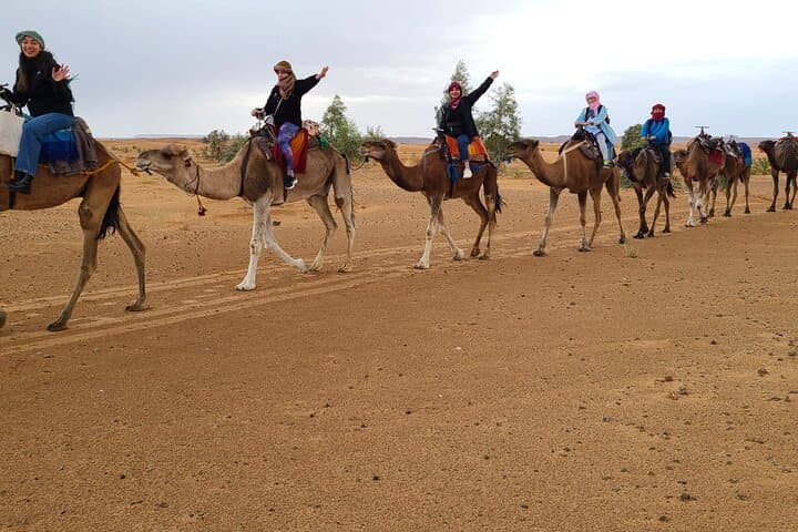 3-Day Marrakech to Merzouga Desert Tour: Atlas Passes, Gorges & Erg Chebbi photo 6