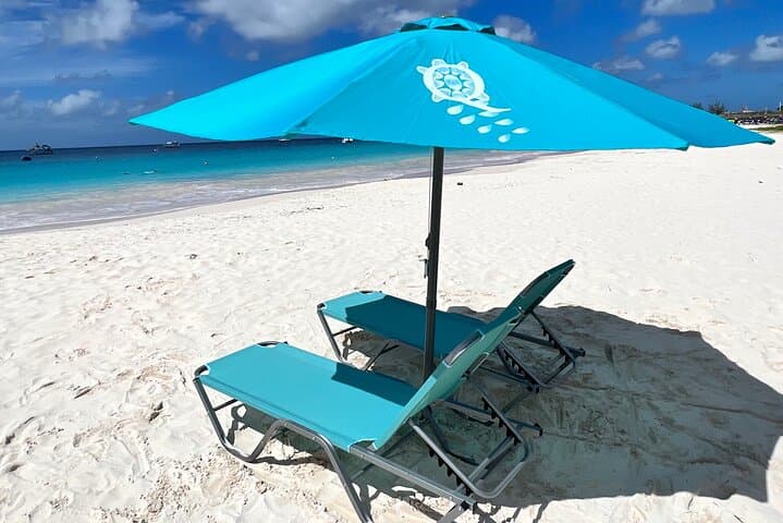 Barbados Carlisle Bay Beach Day & Turtle + Shipwreck Snorkel Cruise photo 4