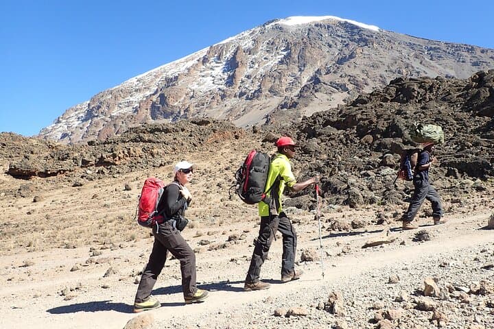 7-Day Machame Route: Mount Kilimanjaro Climb to Uhuru Peak photo 3
