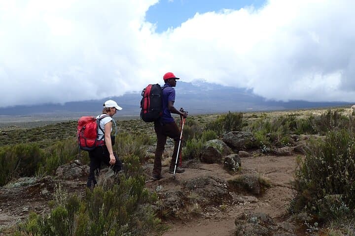 7-Day Machame Route: Mount Kilimanjaro Climb to Uhuru Peak photo 4