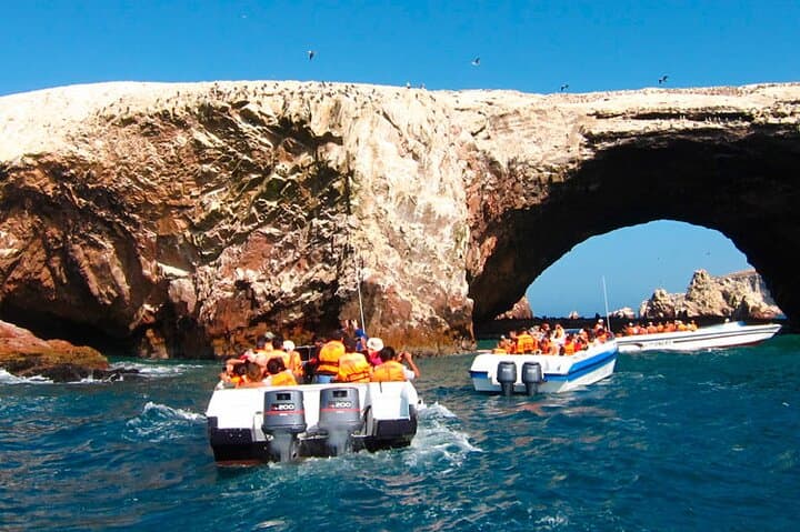 Ballestas Islands to Huacachina: Paracas Boat Tour, Ica Vineyards & Dune Buggies