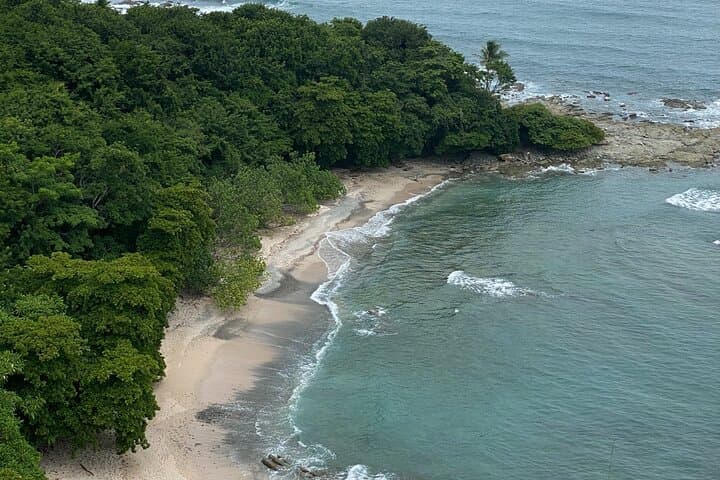 Explore Curu Wildlife Refuge: Private Nature Adventure from Santa Teresa photo 5