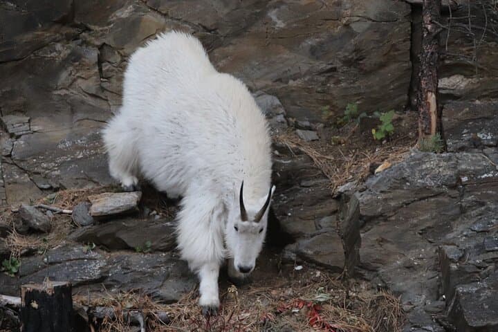 Spirit of the West — Devils Tower & Spearfish Canyon Full-Day Guided Tour photo 2